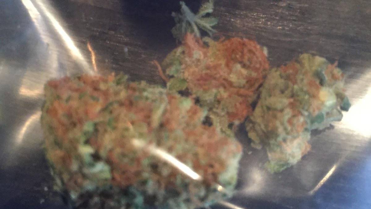 Amnesia 4