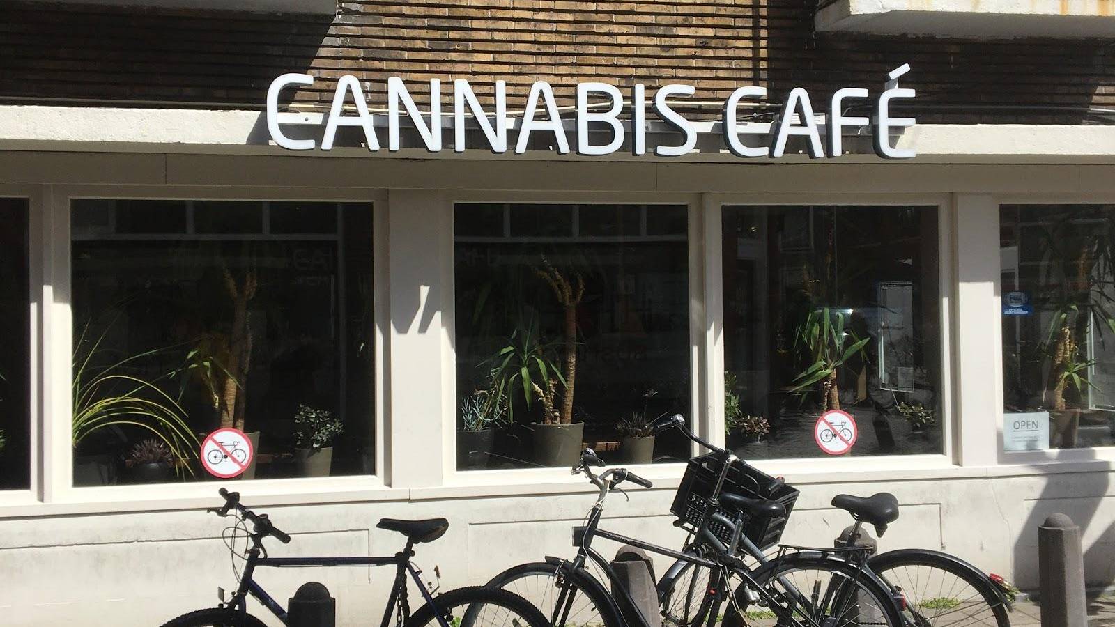 The cannabis cafe 3