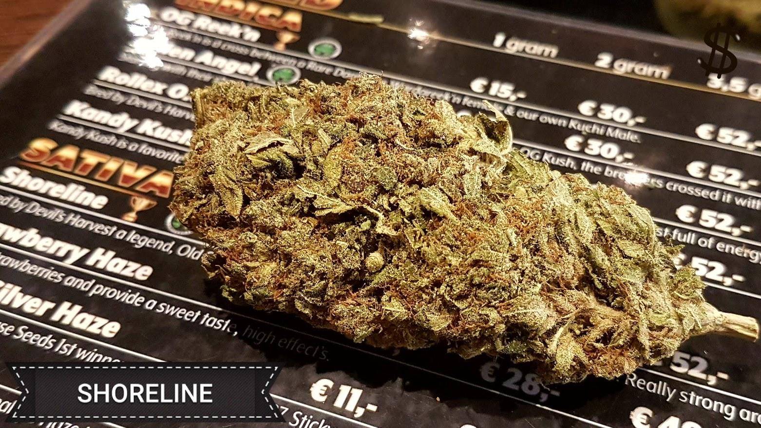 Coffeeshop New Times 5