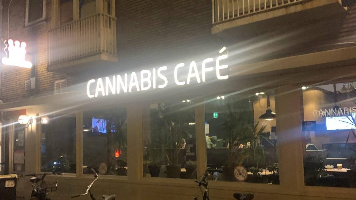 The cannabis cafe 5