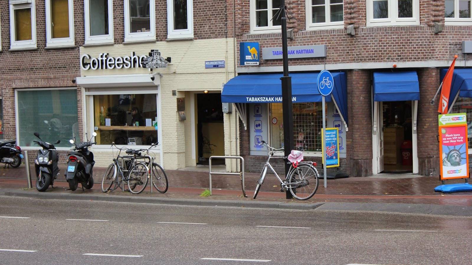 Coffeeshop The Stud 2