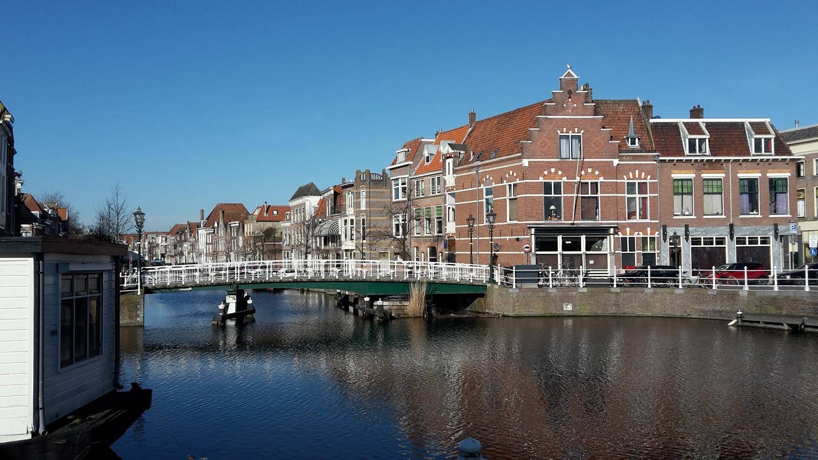 Coffeeshop Groenewoud Leiden 4