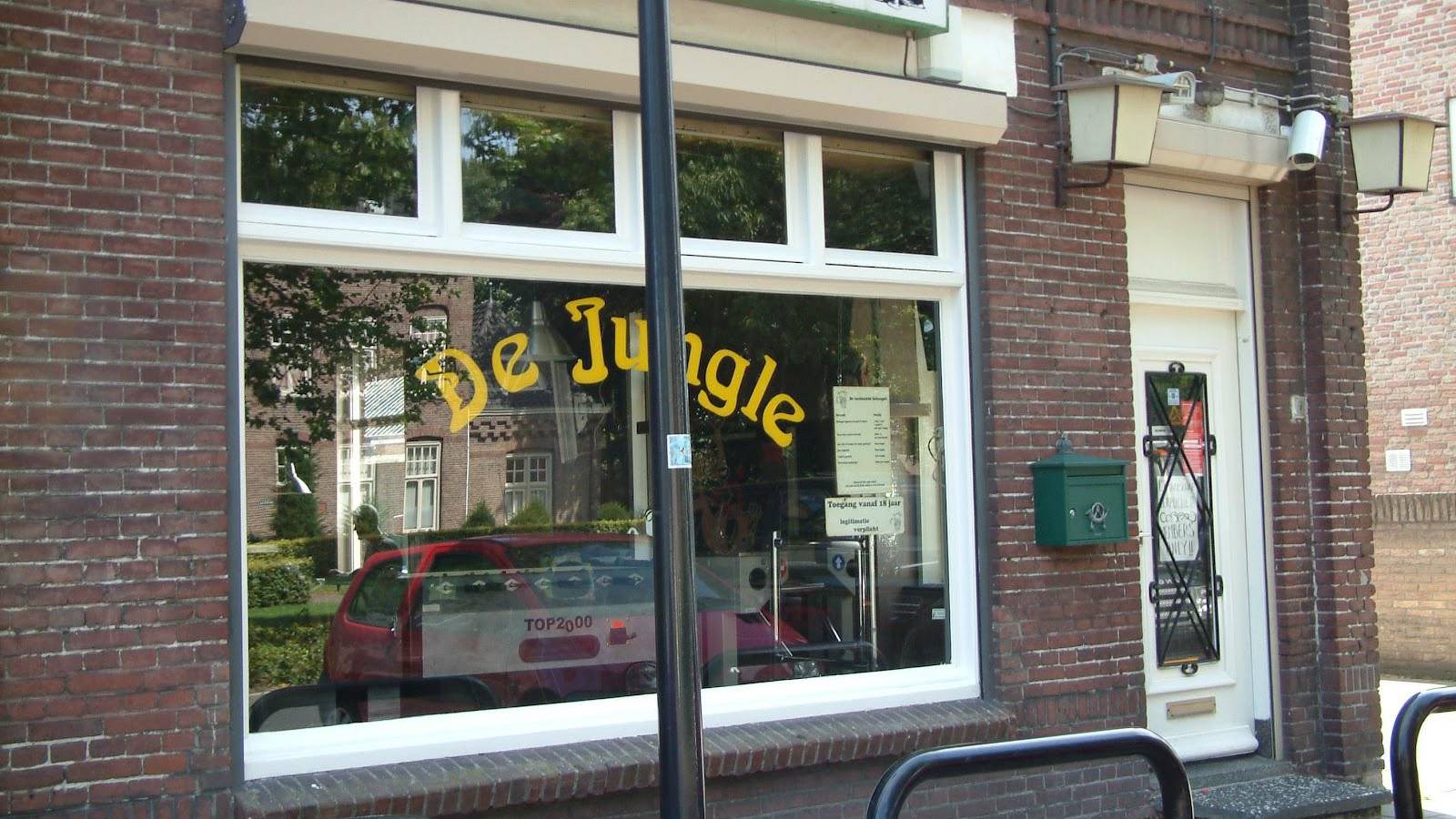 The jungle 2