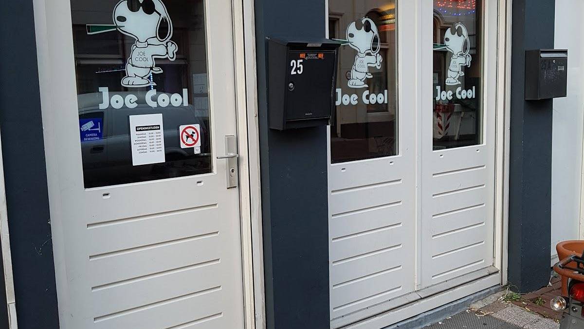 Joe Cool 2
