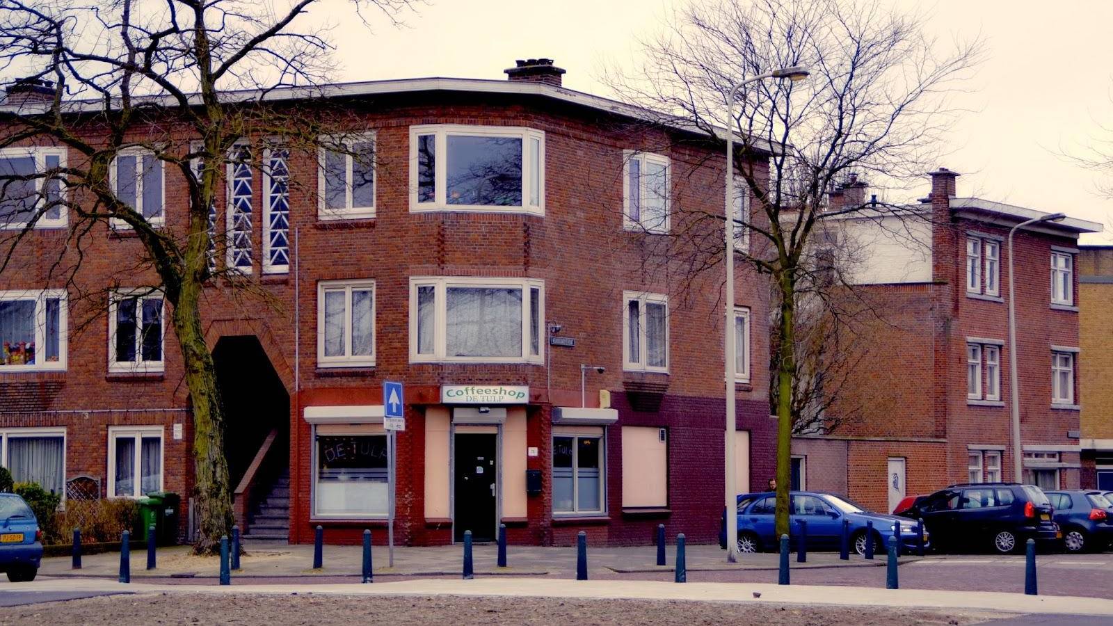 Coffeeshop Tulip 2