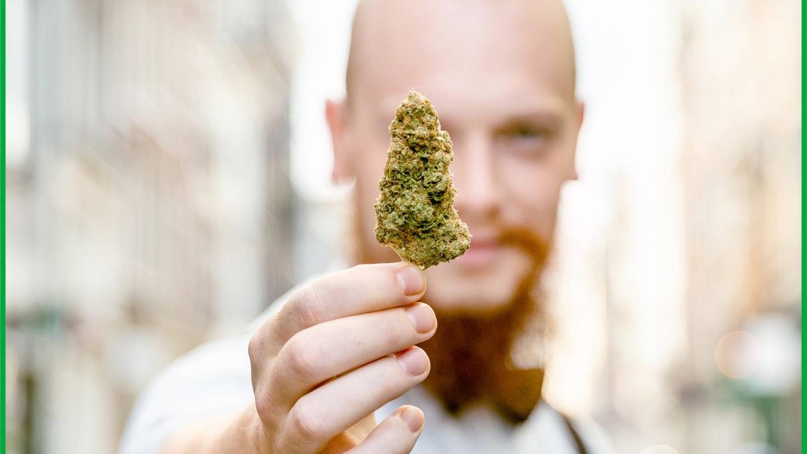 Amsterdam Genetics 3