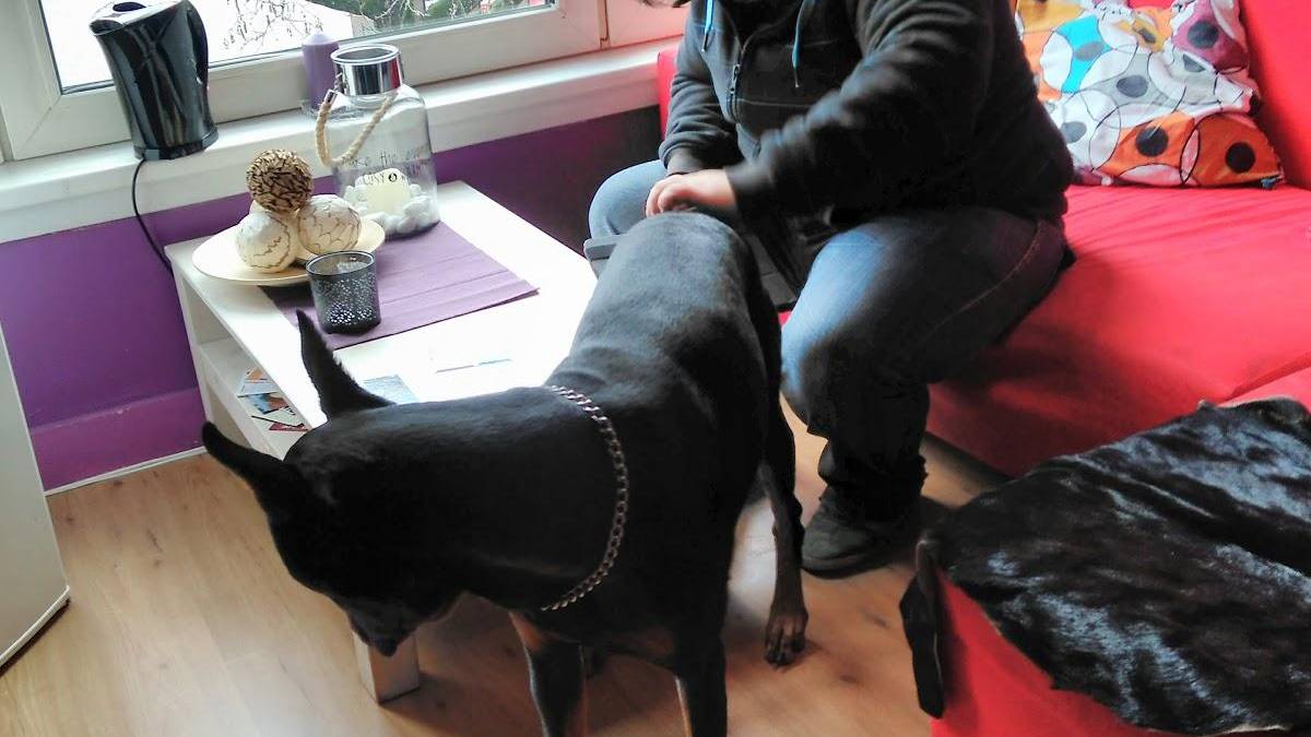 Coffeeshop Nachtegaal 3