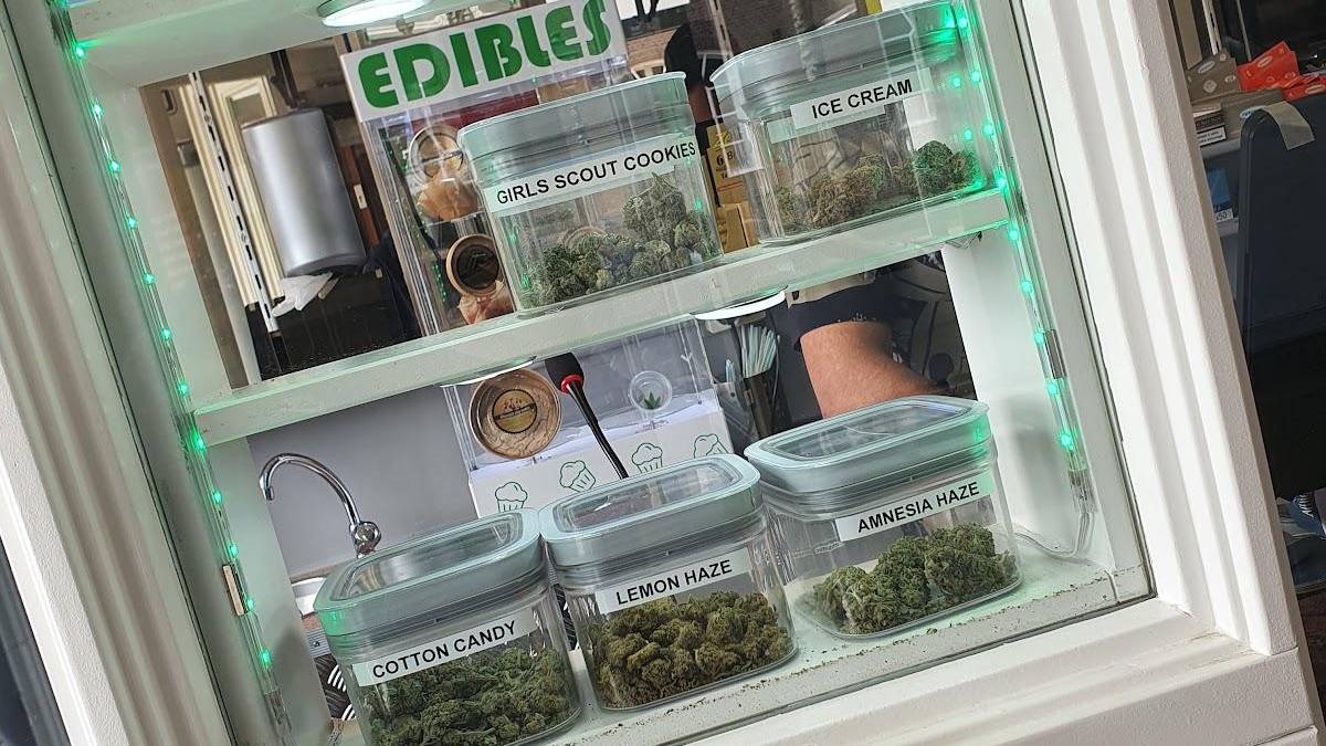 Coffeeshop The Box Green Harvest 3
