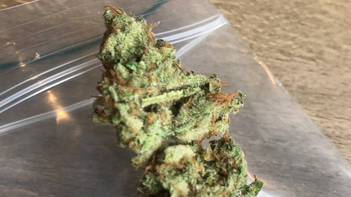 The Plug Coffeeshop 5