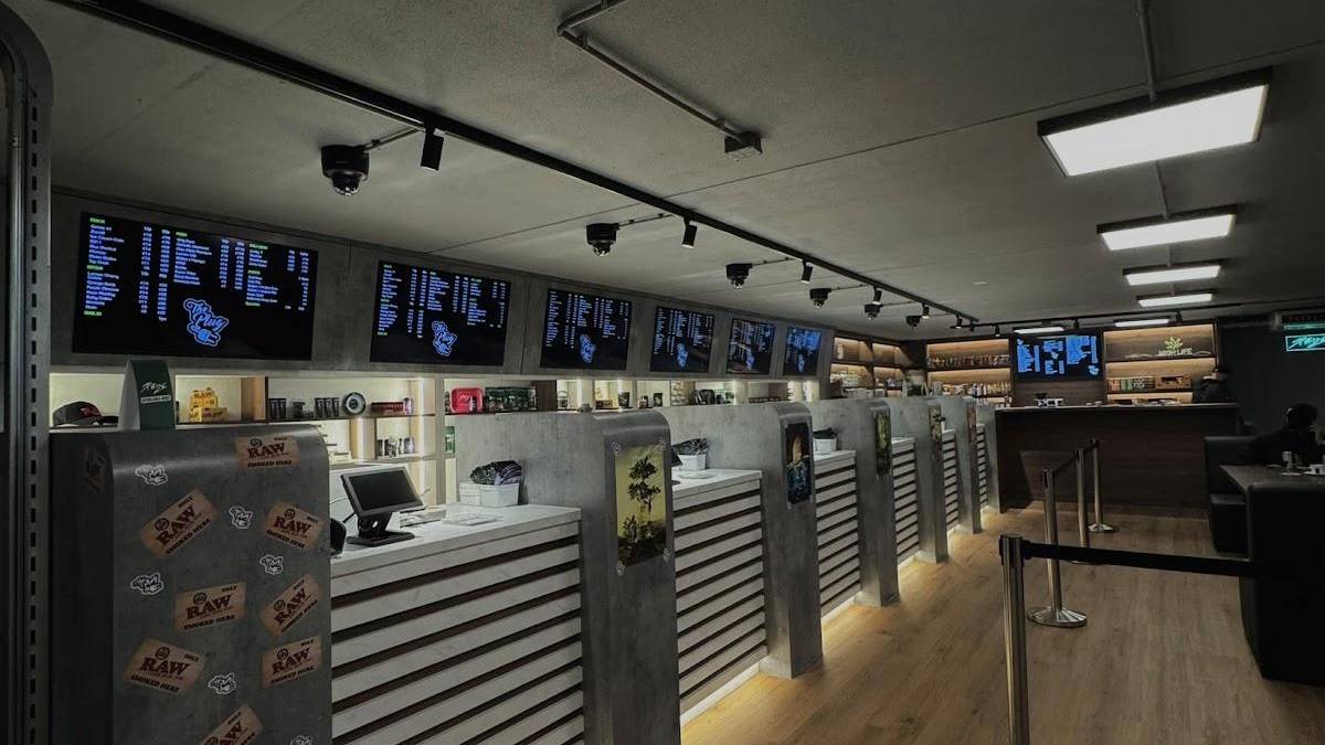 The Plug Coffeeshop Amersfoort 4
