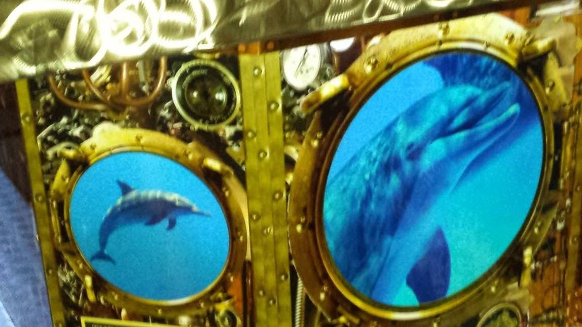 THE DOLPHINS COFFEESHOP 2