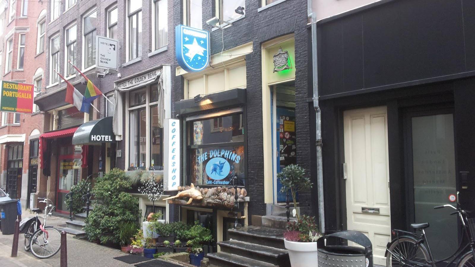 THE DOLPHINS COFFEESHOP 3