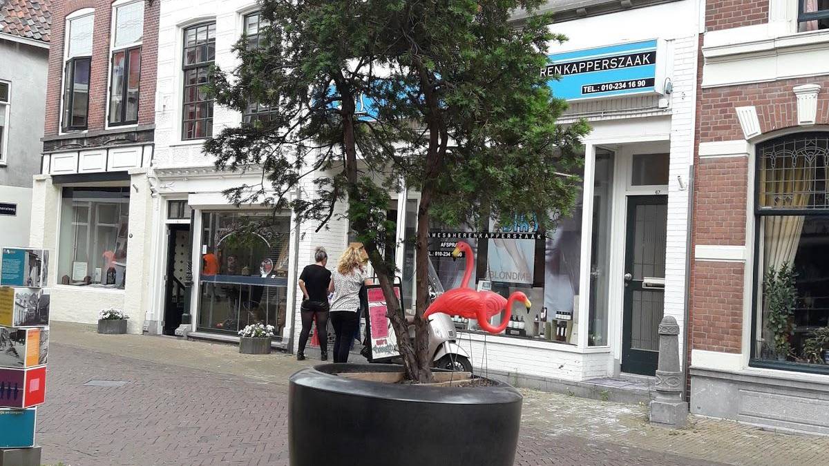 Spiegelbeeld Vlaardingen 4