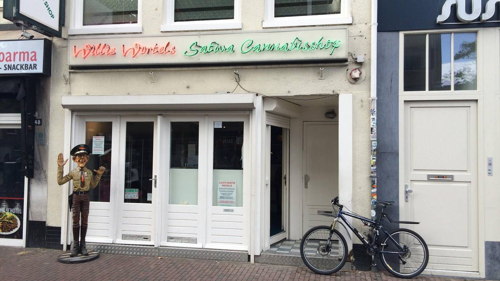 Coffeeshop Willie Wortel Sativa 3