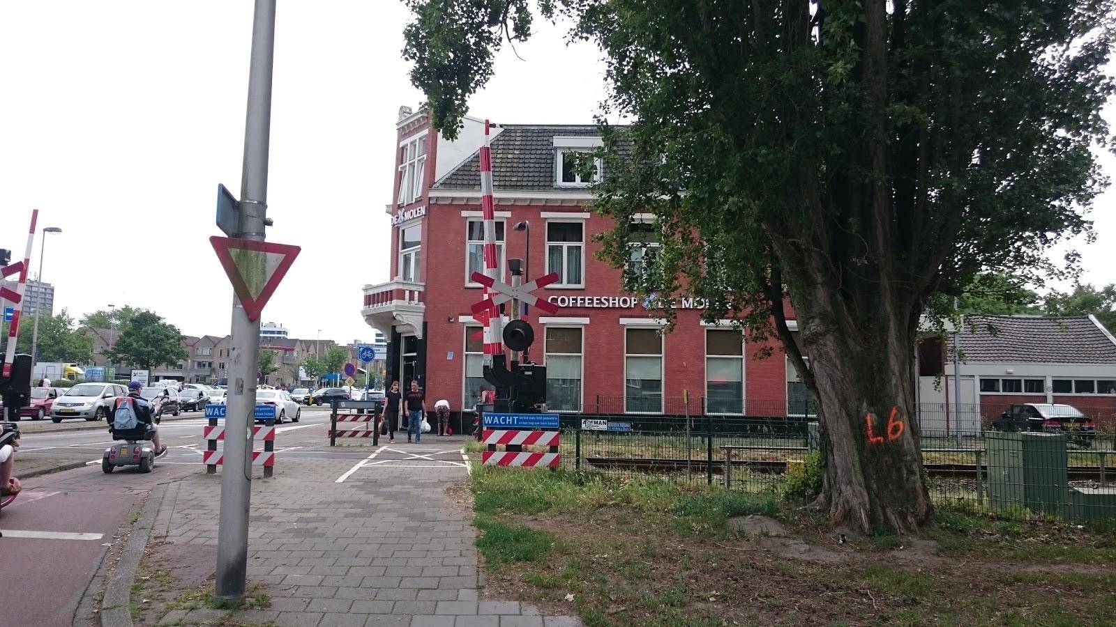 Coffeeshop Mill 5